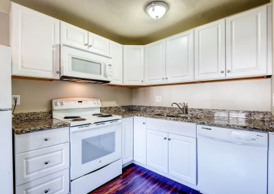 213233 S Ingalls Street-print-012-17-Kitchen-2700x1800-300dpi